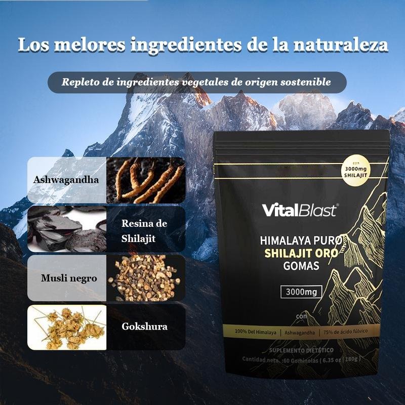 Gomitas de Shilajit