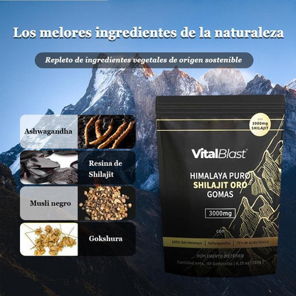 Gomitas de Shilajit